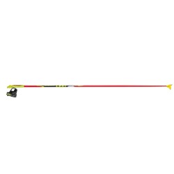 World Cup ski poles Leki Primus Shark