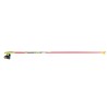 World Cup ski poles Leki Primus Shark