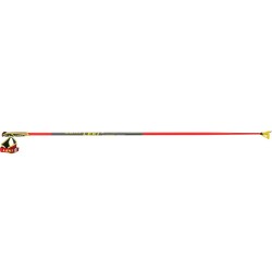 Top Level ski poles Leki HRC Team