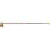 Performance ski poles Leki PRC 750 1 pair