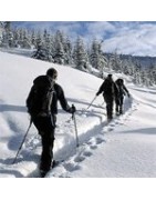 Backcountry Ski