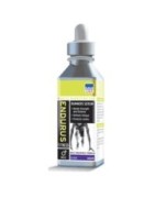 Endurance Meal Supplements